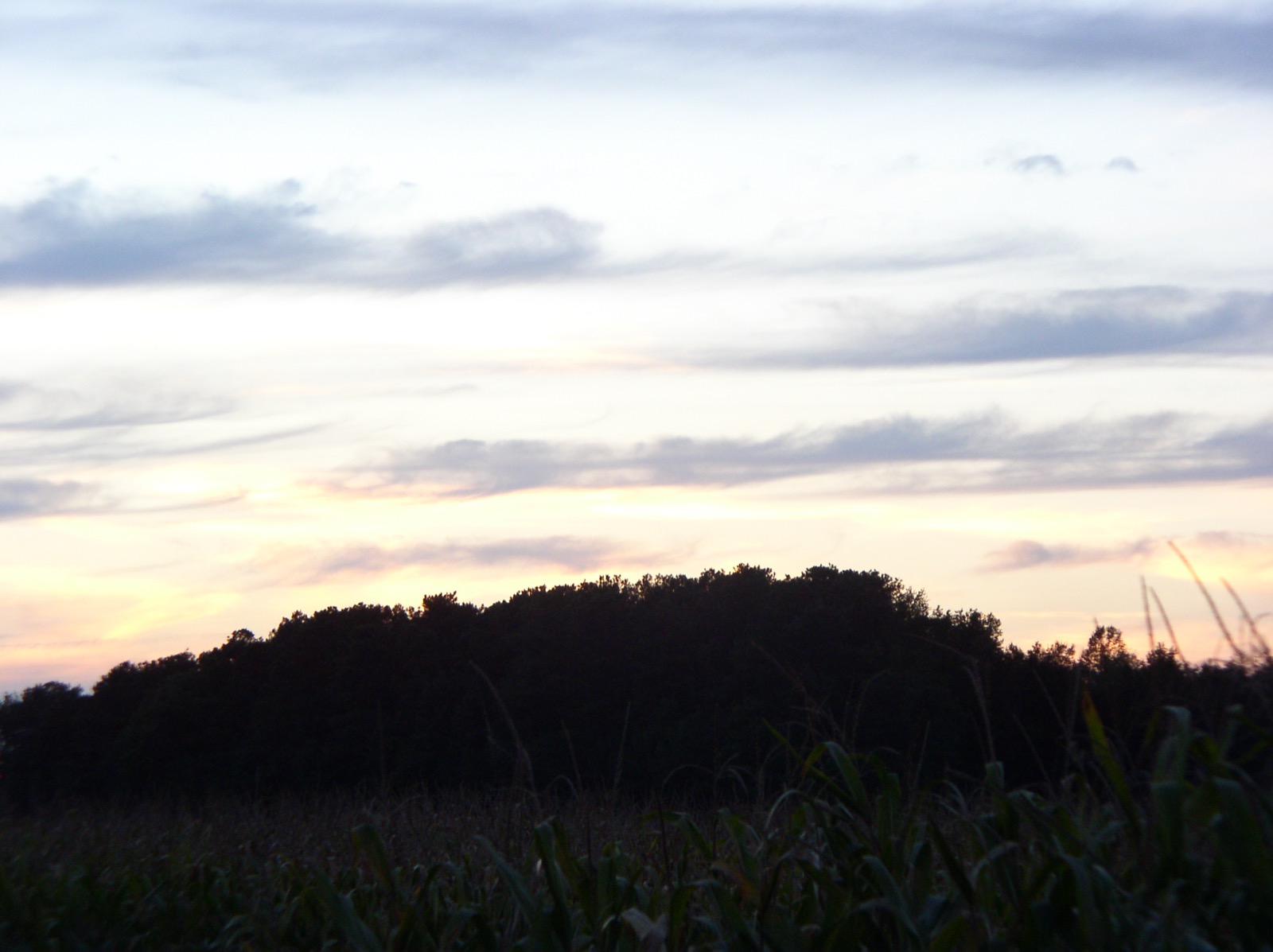 Dawn/dusk over field; strong HOST mood