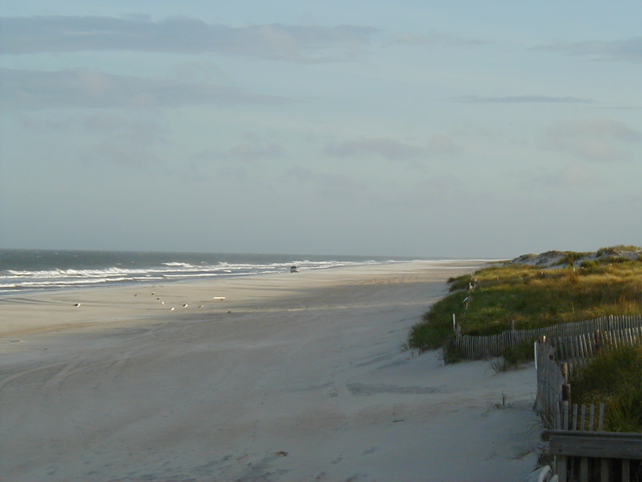 Quiet overcast beach / birds