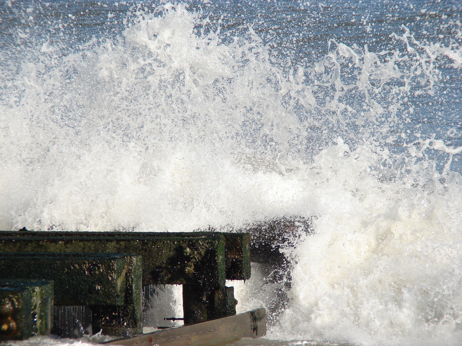 Overcast surf / groyne / coast